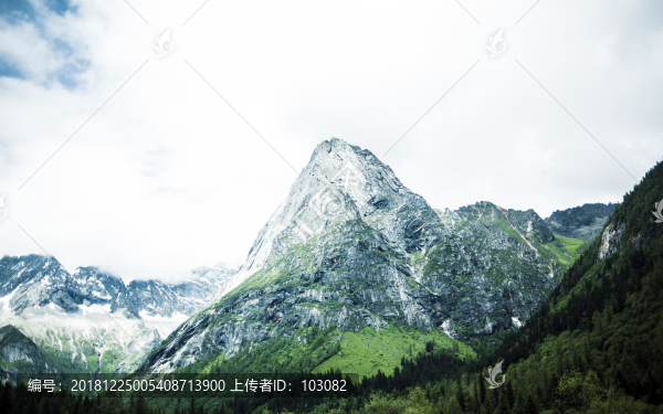 雪山雪松云霧山峰