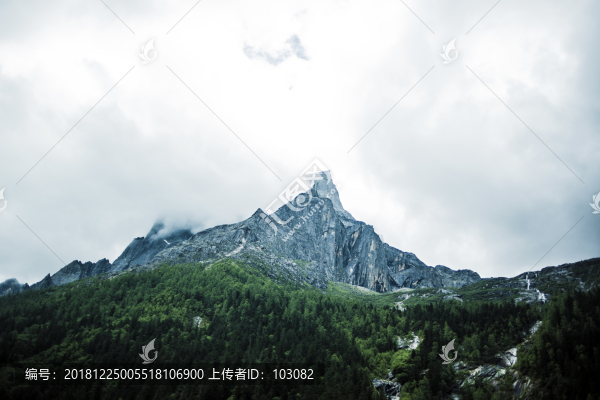 雪松森林中的山巒