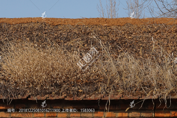 草房屋頂