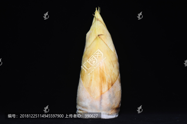 冬筍棚拍黑色背景