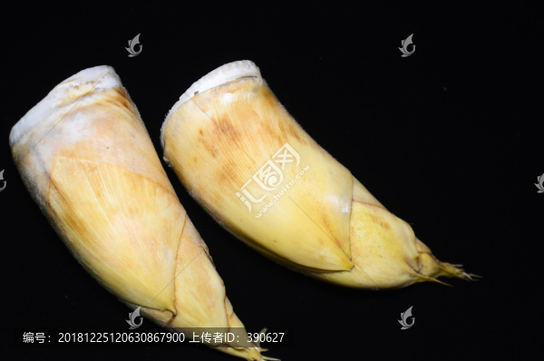 冬筍