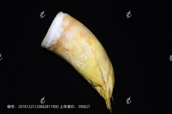 冬筍