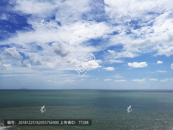 海洋