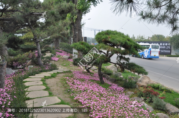 羅紅藝術(shù)館的室外環(huán)境