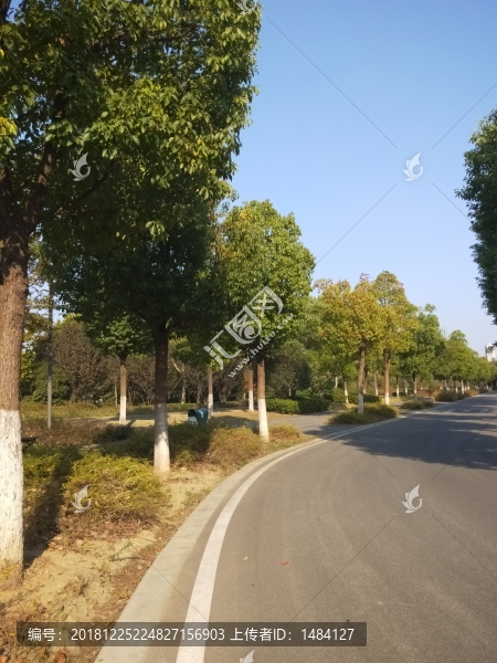 路
