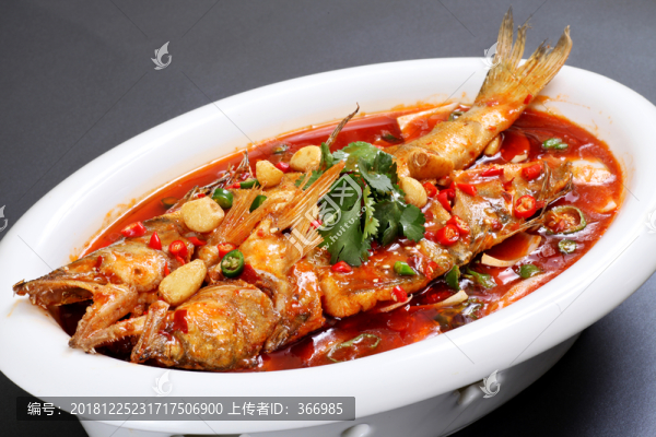臭桂魚(yú)