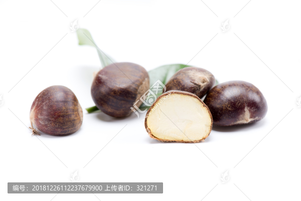 生板栗毛栗子