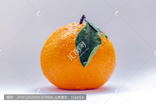 高清丑橘