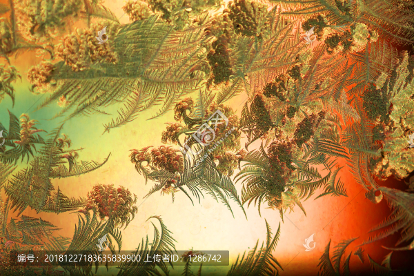 窗花