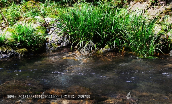 溪流