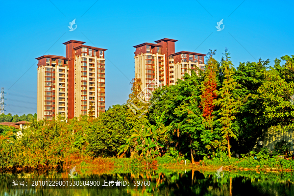 建筑樹木湖畔