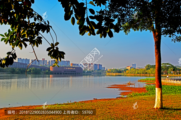 松山湖風(fēng)光