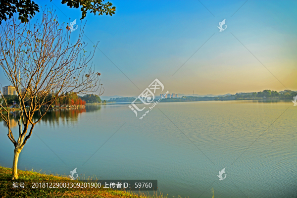 湖畔美景