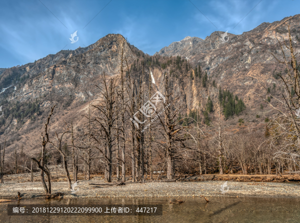 四姑娘山長(zhǎng)平溝