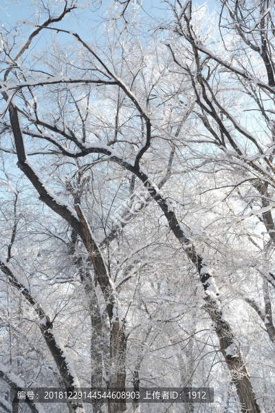 雪景