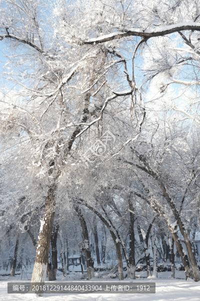 雪景