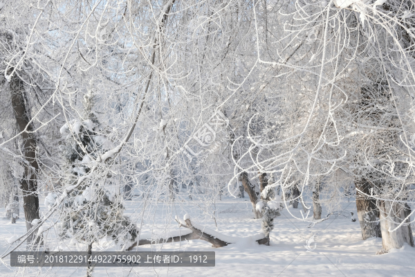 雪景
