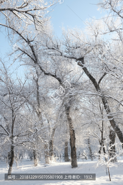 雪景