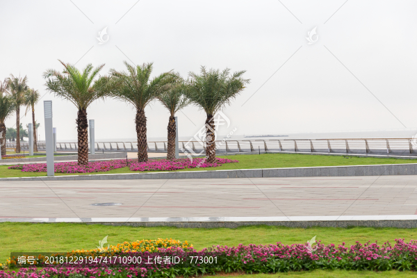 珠海風(fēng)光