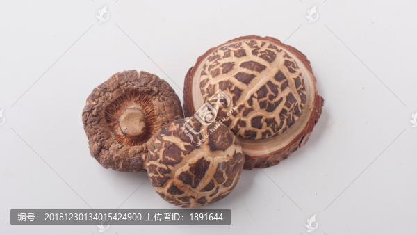 香菇