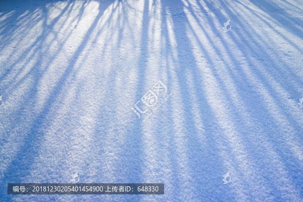 雪地倒影