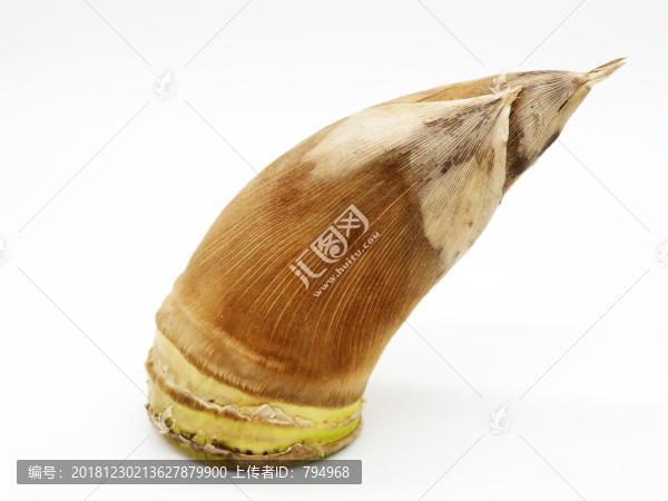 冬筍