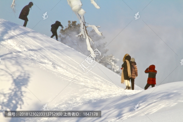 賞雪玩雪