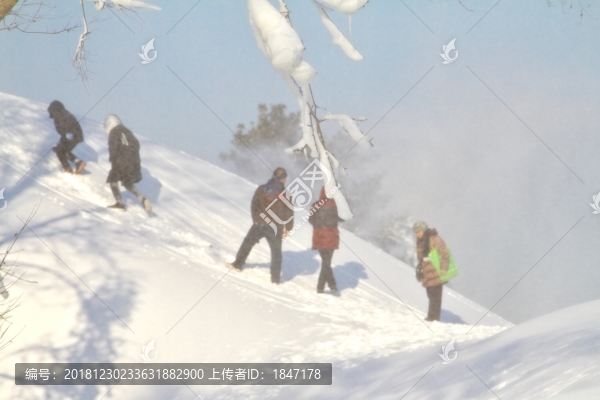 雪濛濛