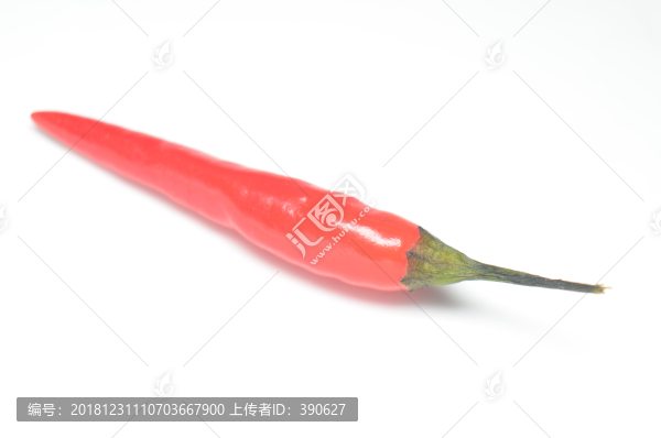 小辣椒