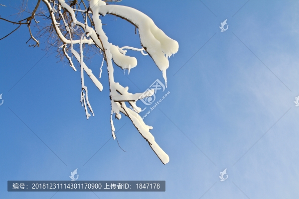雪掛冰掛