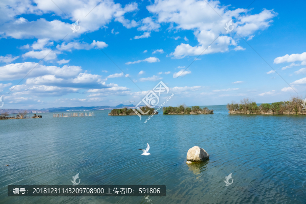 藍(lán)天白云下的滇池濕地風(fēng)光