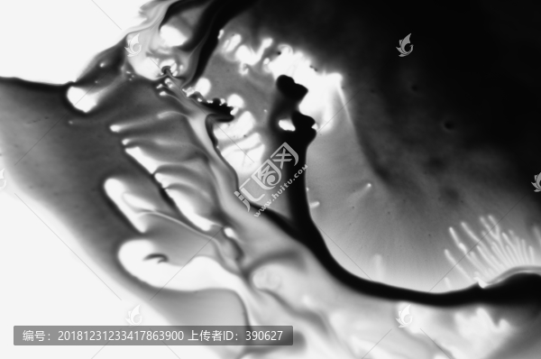 中國風(fēng)水墨墨韻