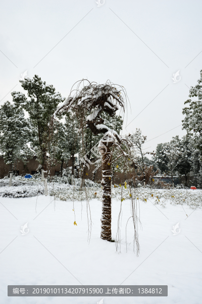 江南雪景
