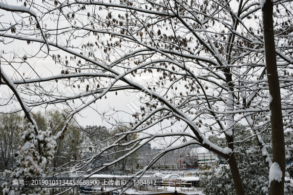 江南景雪