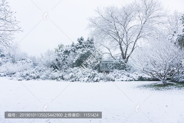 西湖雪景