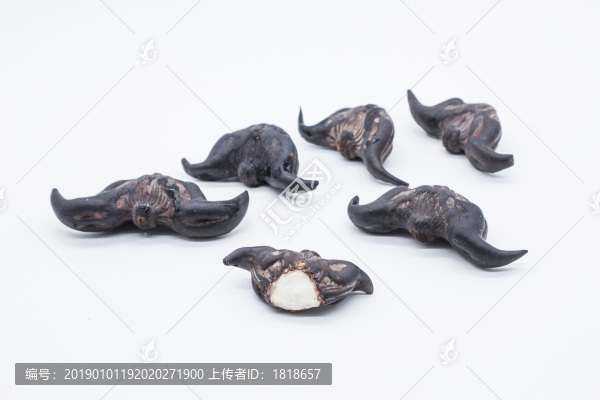 菱角