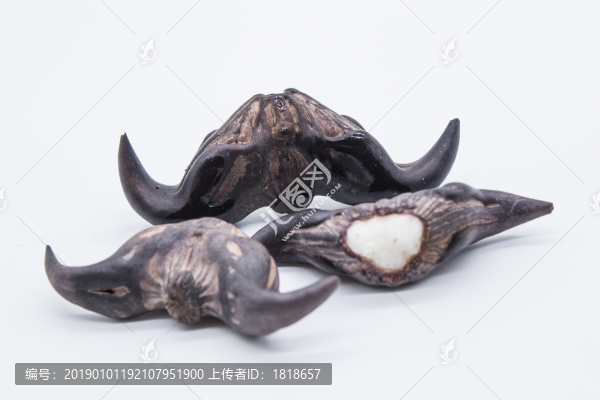 菱角
