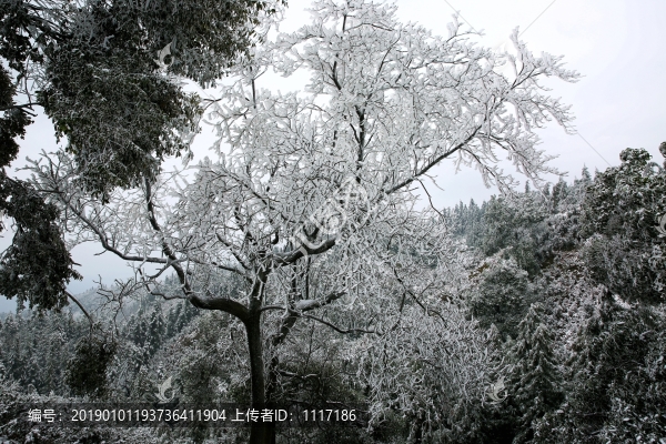 青峰山雪景