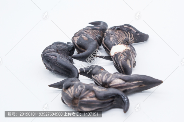 菱角