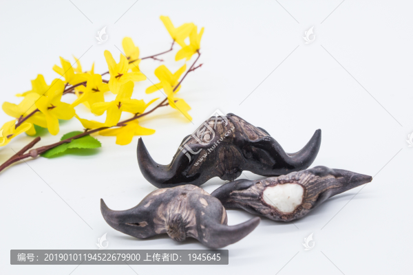 菱角