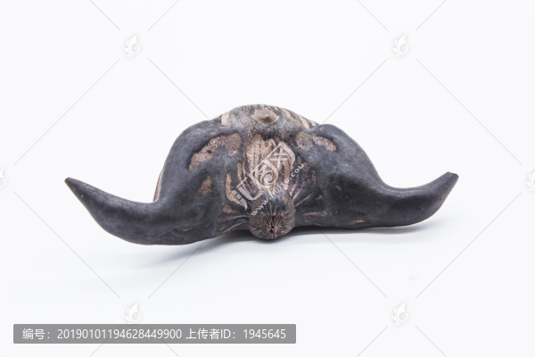 菱角