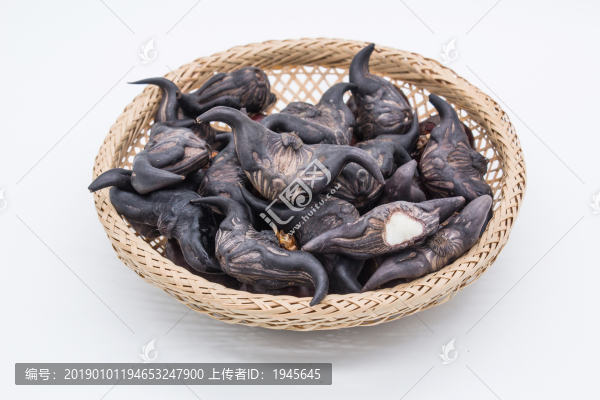 菱角