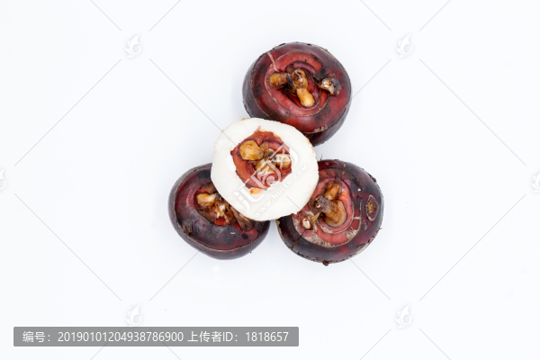 馬蹄