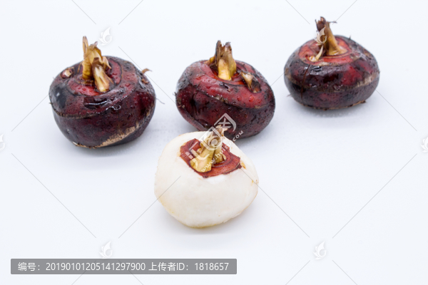 馬蹄