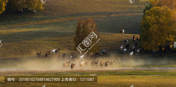 奔馬