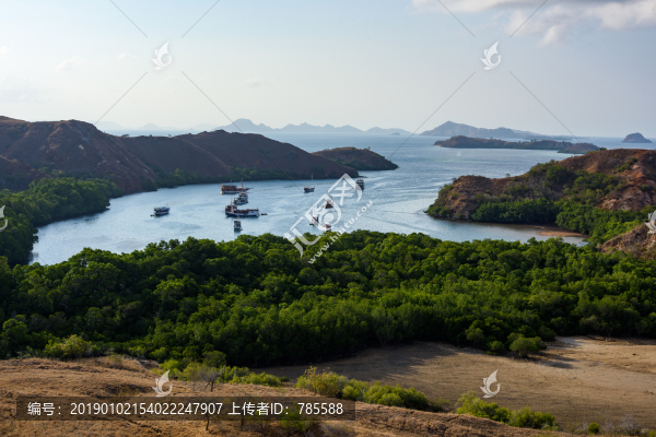 科莫多島