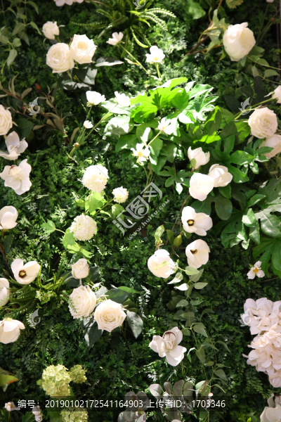 鮮花背景墻