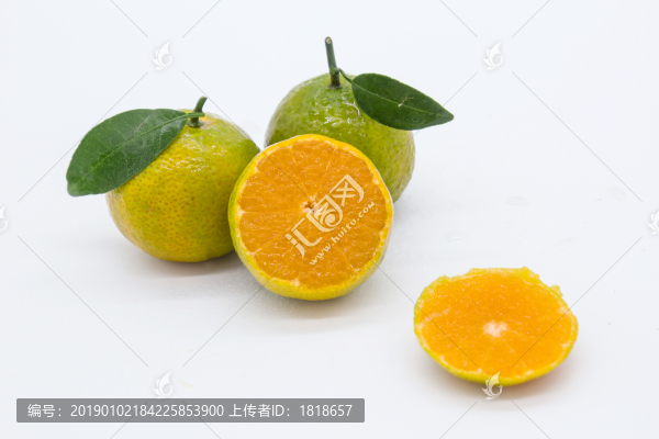 青香橘