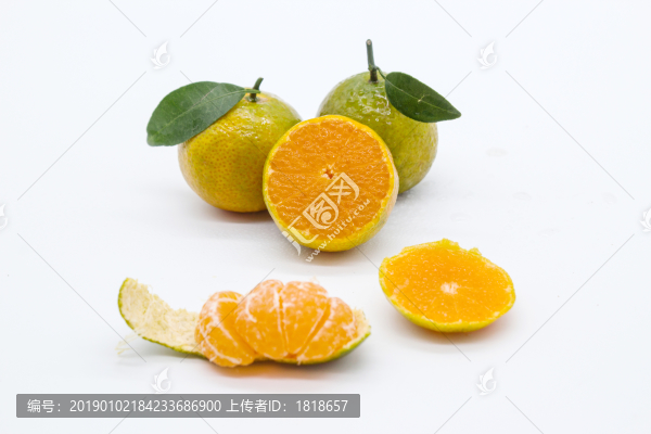 青香橘