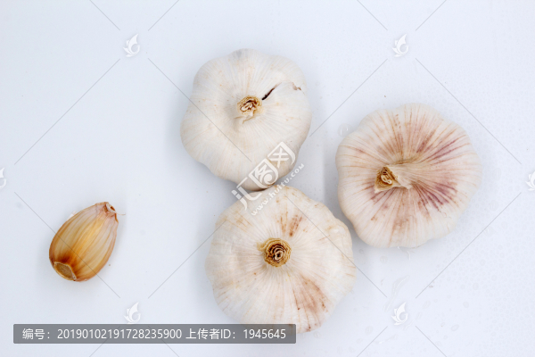 大蒜